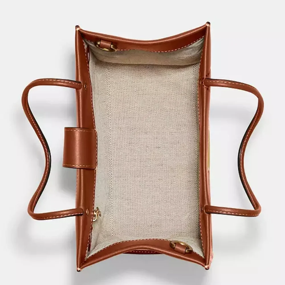 Cashin Carry Bag 22 With Trompe L'oeil Print, Saddle Multi 2022 Runway